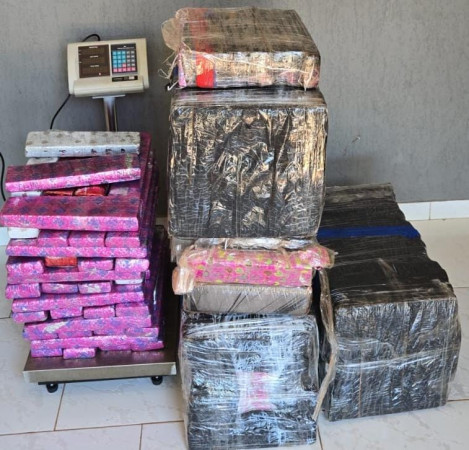 PCPR, PRF e GCM prendem quatro por tráfico e apreendem 233 quilos de maconha no Oeste