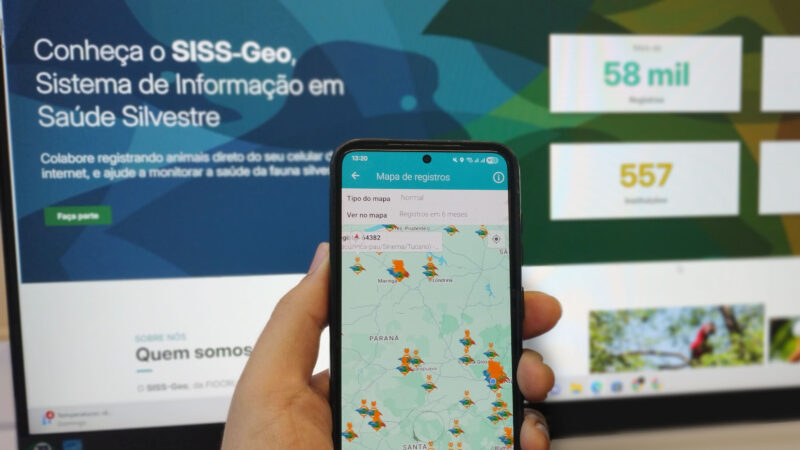 Paraná Combate Febre Amarela com Inteligência Geográfica e Precisão