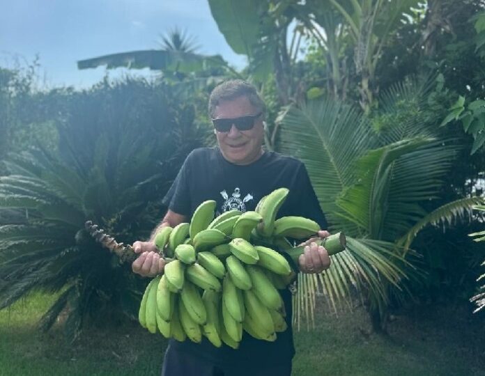 Alvaro Dias está preparado para levar mais bananas do eleitor?