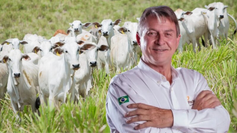 Pecuária em Crise? Consultor Alerta para Amadorismo e Cultura de ‘Depósito’ nas Fazendas