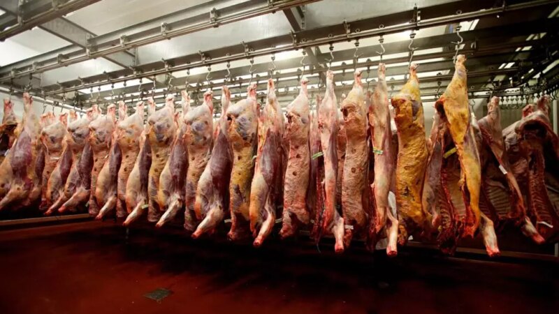 Brasil Desafia Tarifas e Almeja Recorde Histórico na Exportação de Carne Bovina Até 2025