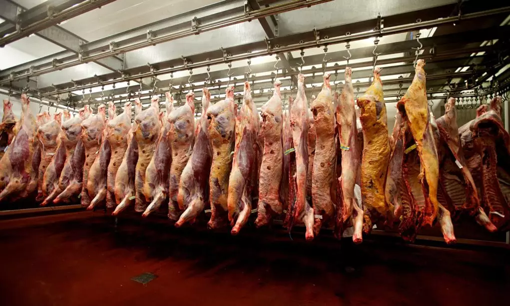 Brasil Desafia Tarifas e Almeja Recorde Histórico na Exportação de Carne Bovina Até 2025