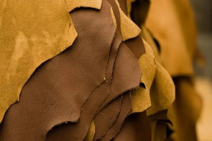 JBS Transforma Resíduo de Couro em Fertilizante Italiano: Exportação Sustentável Alcança 550 Toneladas Mensais