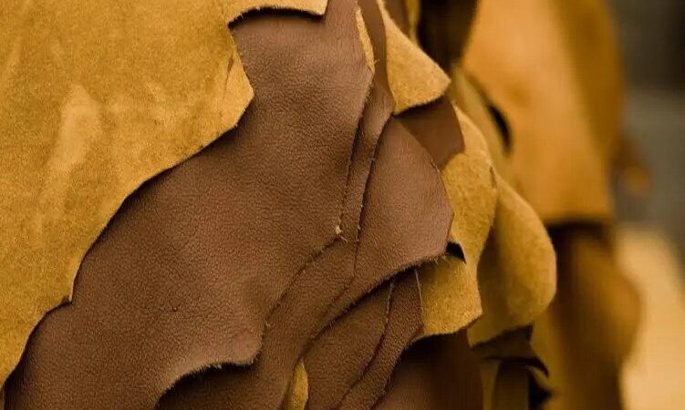 JBS Transforma Resíduo de Couro em Fertilizante Italiano: Exportação Sustentável Alcança 550 Toneladas Mensais