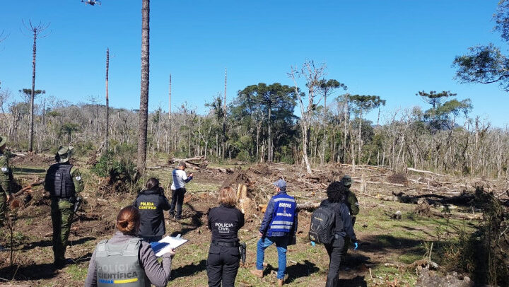 PCPR prende homem por desmatar 106 hectares de floresta em Rio Azul