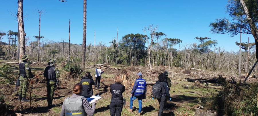 PCPR prende homem por desmatar 106 hectares de floresta em Rio Azul