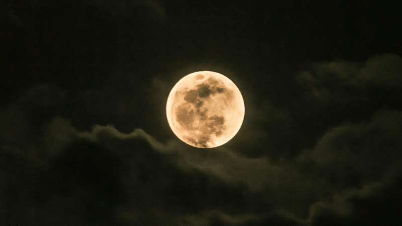 Lua Cheia Ilumina o Céu de Novembro: Descubra a Fase Lunar e Seus Efeitos