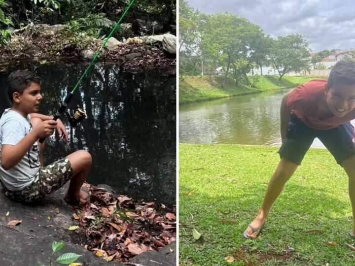 Menino de Goiás sofre grave ataque de abelhas e está internado na UTI