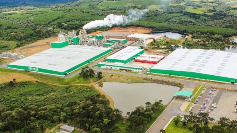 Berneck Abre Portas para Novos Talentos em Araucária com Oito Vagas Imperdíveis