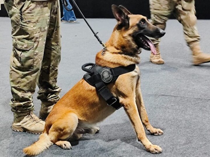 Polícia Federal realiza varredura antibomba para a COP30