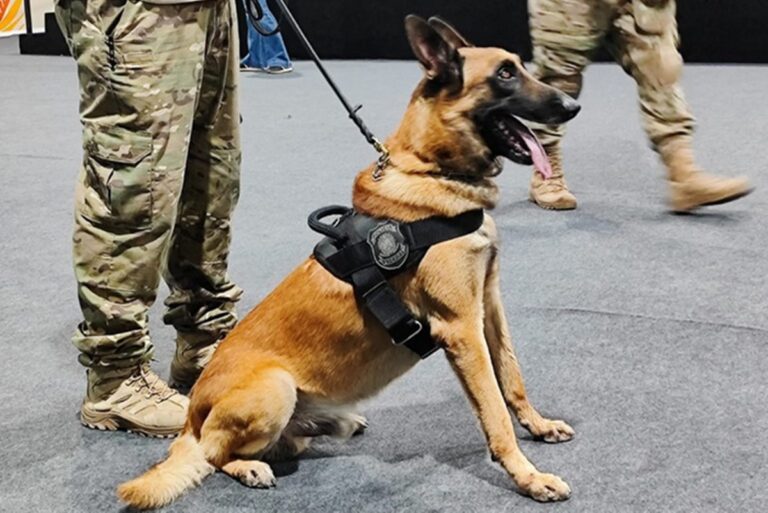 Polícia Federal realiza varredura antibomba para a COP30