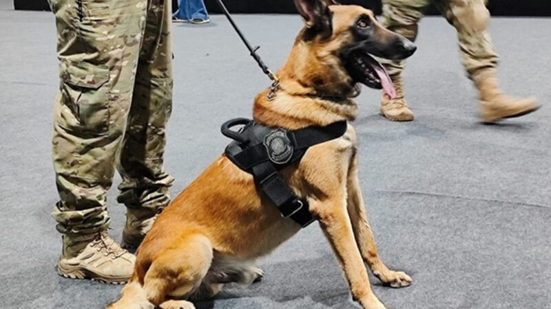 Polícia Federal realiza varredura antibomba para a COP30