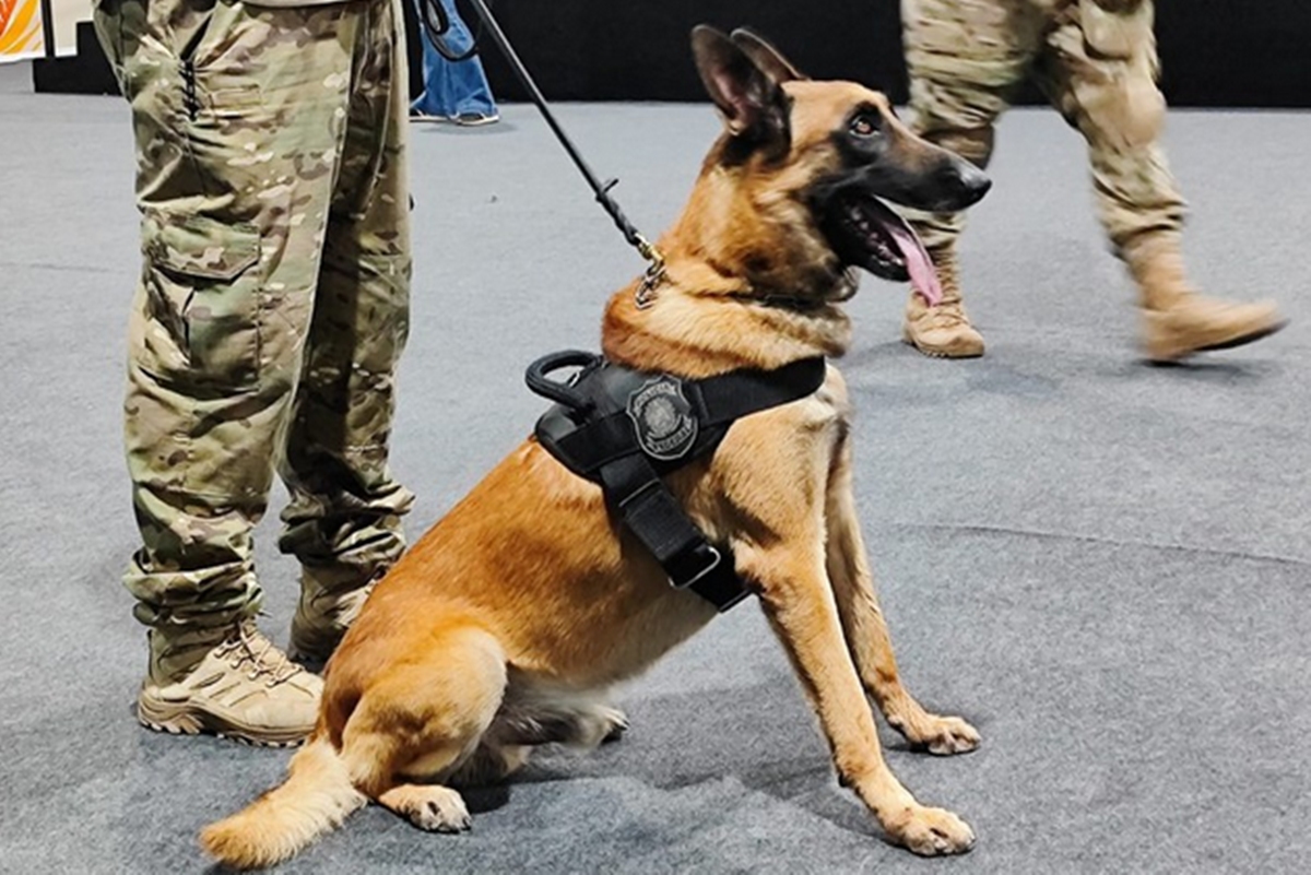 Polícia Federal realiza varredura antibomba para a COP30