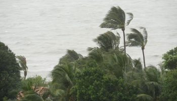 Foto: Terra Brasil Notícias