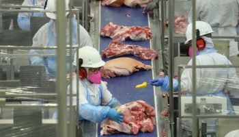 ABPA projeta crescimento recorde de produção e consumo de proteínas no Brasil
