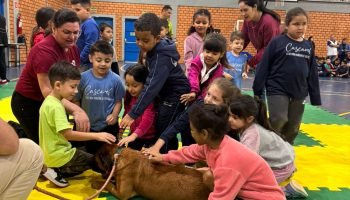 Educação confirma início da entrega de kits de uniformes escolares em fevereiro