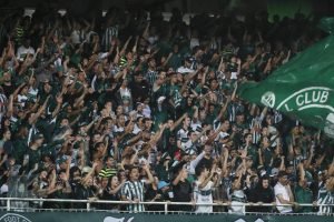 0731abb0-a36a-11ed-95f1-05f42d08efb3-wp-1