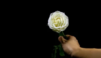 0844861666d7171257c75c5237c93cddc4cf6544