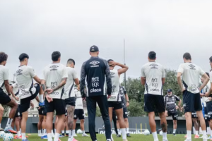 1315229497-elenco-santos