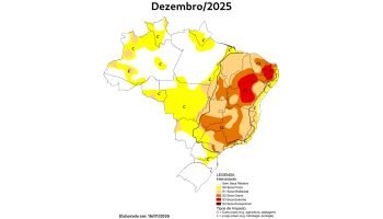 Chuvas do fim do ano reduzem seca no Norte do Paraná