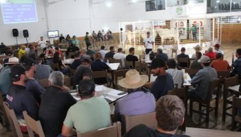 Foto: Rádio Campo Aberto FM - 94.1 a rádio fa família