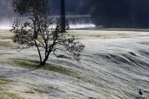 1787529818_Frio.jpg