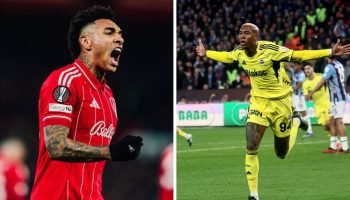 1pkgdz8cencdbhn0rf3lfiyvl