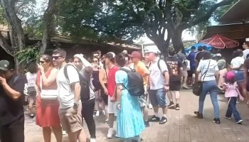 Visitação recorde gera debate sobre filas no Parque Nacional do Iguaçu