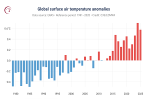 Paraná está entre os estados mais quentes de 2025; Brasil bateu recorde histórico
