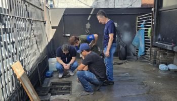 Foto: Governo do Paraná