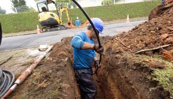 Foto: Governo do Paraná