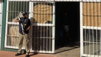 Polícia Federal Argentina realiza operação contra azeite clandestino em Puerto Iguazú