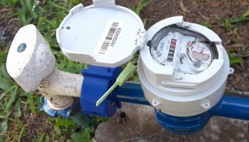 Foto: Governo do Paraná