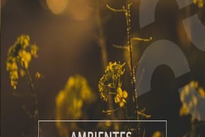 2f09c1ba08b7dbf1732d4be3f5564aba-2