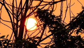 Manutenção da Sanepar Interrompe Abastecimento de Água em Foz do Iguaçu