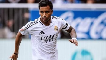 3abm66a48fvl5hci6o9lp7m5c