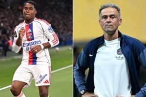 3l7qn49xaj8a0tno666zpqvg7