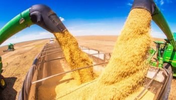 Cooperativismo paranaense mantém crescimento apesar de pressões climáticas e de mercado