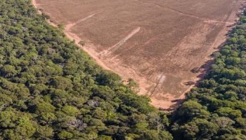 Veto de Lula sobre faixa de fronteira aumenta insegurança jurídica no campo