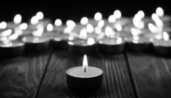 Óbitos registrados na Central de Triagem em Guarapuava — Foto: g+ notícias