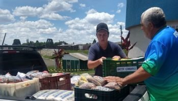 Prefeitura de Guarapuava entrega alimentos arrecadados nos Jogos do Dia do Servidor Público a entidades sociais