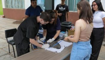 5B1772541988_wiceq5D