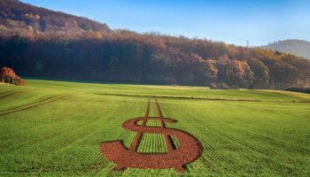 Orçamento revela contradição na gestão de risco agrícola no Brasil, diz Apepa