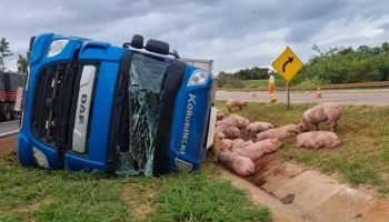 633689720_1295956445705061_6960149524200406384_n