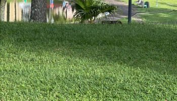 Corpo encontrado na Lagoa das Lágrimas. — Foto: g+ notícias