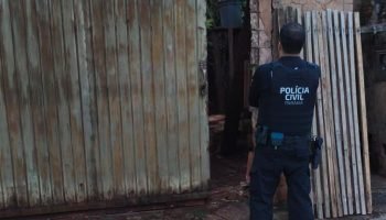 Foto: Governo do Paraná