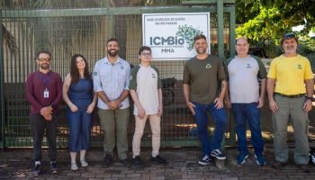 8MXKmdJKaflWL18sQCXBIIdn0FY7yiO5FjayrJe0