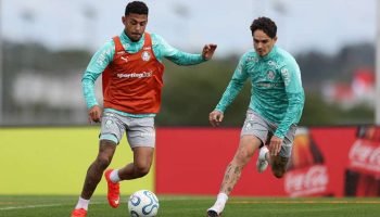 93817151-20082026cgpalmeiras428434easy-resizecom