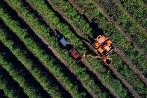 Agroindustria-Parana-tarifas-EUA-Jose-Fernando-Ogura-Arquivo-AEN