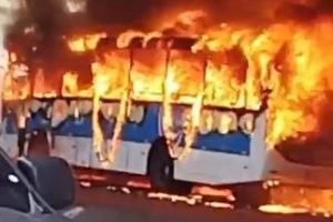 Captura-de-tela-2026-03-18-124054-300x218-1